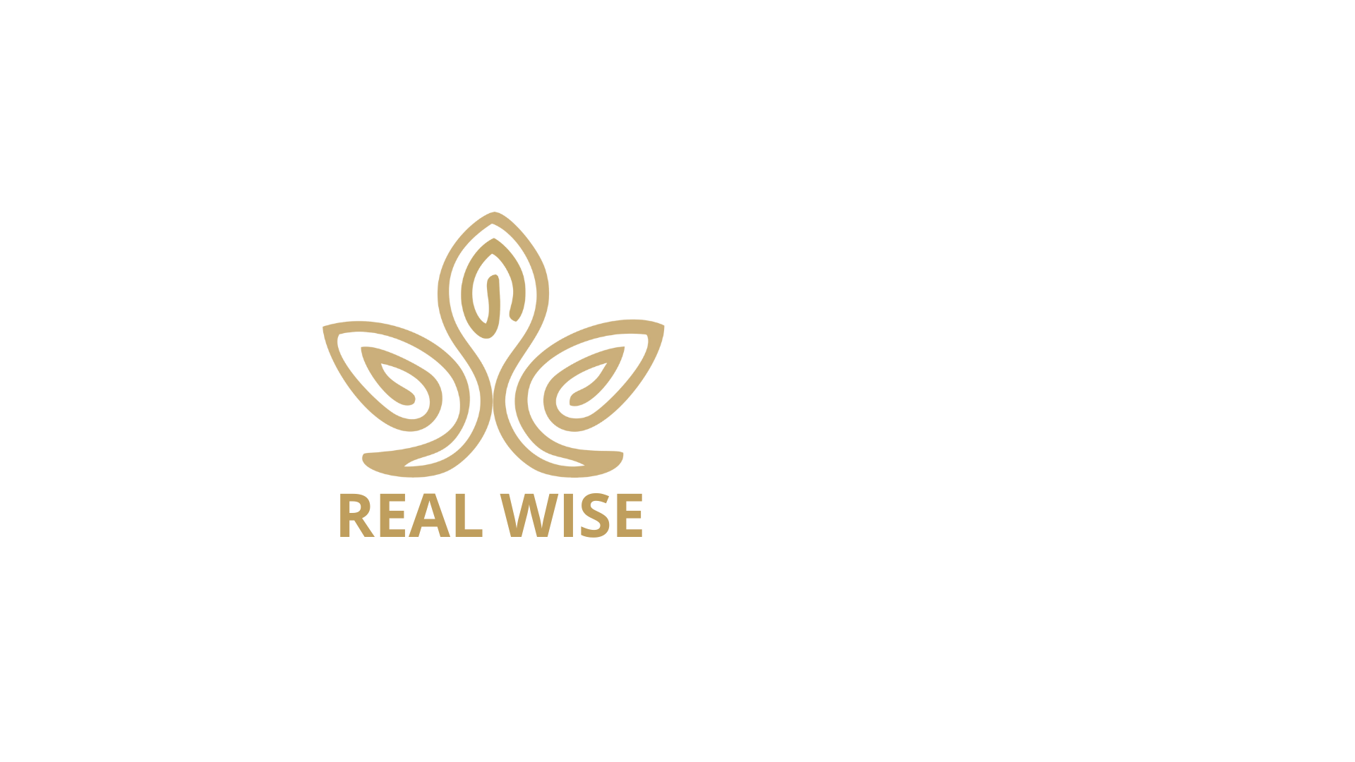 Real Estate Investment Fund (7).png